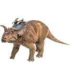 Amazon.co.jp: シュライヒ 恐竜 ペンタケラトプス フィギュア