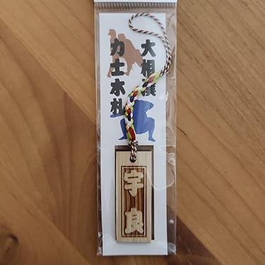 Amazon.co.jp 最新リリース: 格闘技ファングッズ の新着ランキングです。