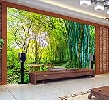 3 D 室ベッドルームのテレビの背景竹の森の装飾壁紙 BQ 0127 座っている