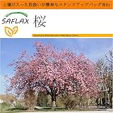 SAFLAX - Garden in the Bag - 桜 - 30 個の種。- 取扱いが簡単なスタンドアップバッグに栽培用土壌が入っています - Prunus serrulata