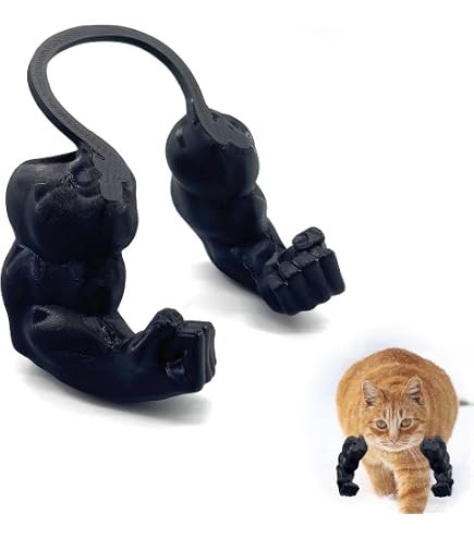 Amazon.co.jp: なめ猫 レトロ なめんなよ猫 下敷き ！ : ペット用品