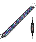 Amazon.co.jp: B.R.S Lighting Master DC Bar【サファイアブルー