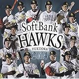 2014�����\�t�g�o���N�z�[�N�X