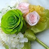 1051【コサージュ】【結婚式、入学式、卒業式】プリザーブド・バラ・ライトグリーン1輪とミニローズベイビーピンク2輪