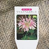 ハーブ 苗 【ベルガモット ワイルド】 3号ポット×5株セット