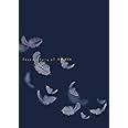 いつのまにか、ここにいる　Documentary of 乃木坂46　DVDコンプリートBOX(4枚組)【完全限定生産】
