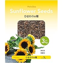 ひまわり様ご確認用 生花】ひまわり ホワイトナイト【クリーム/60cm/千葉県