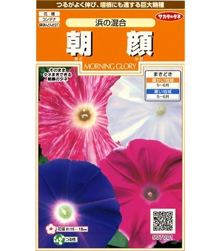 Amazon | 株式会社トーホク 大輪あさがお(混合) 00299 | 花