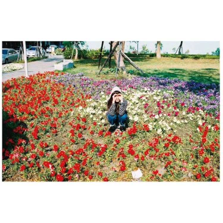 銀杏BOYZ ねぇみんな大好きだよ レコード Amazon.co.jp: ねえみんな大好きだよ(初回盤): ミュージック