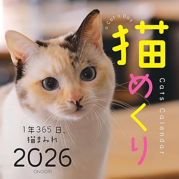 Amazon.co.jp: Cats Calendar 猫めくり リフィル2026: 1年365日、猫
