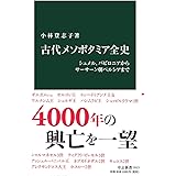 古代メソポタミア全史-シュメル、バビロニアからサーサーン朝ペルシアまで (中公新書 2613)