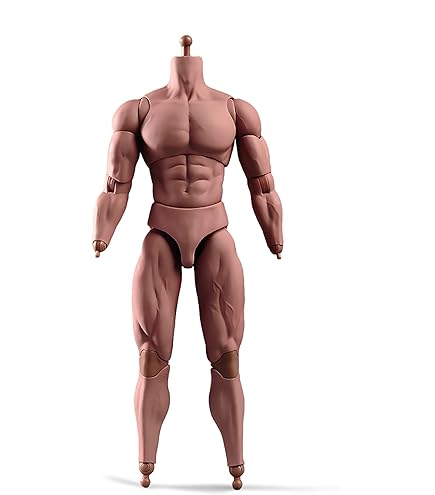Amazon.co.jp: 1/6スケール ナローショルダー 男性 ボディドール
