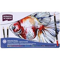 Amazon | Derwent ダーウェント アカデミー 水彩 色鉛筆 ウォーター