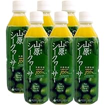沖縄シークヮーサー100 500ml 20本セット Amazon.co.jp: 琉球フロント沖縄 山原シークヮーサー 500ml 6本