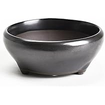 磯山4点セット　人気鉢 menosyama | STORES