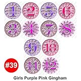 PURPLEPINK GINGHAM Baby Month Onesie Stickers Baby Shower Gift Photo Shower Stickers, baby shower gi
