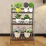 龙飞@ ヨーロッパの牧歌的な鉄の材料3つの層Floorstandingのスタイル花の鍋棚、バルコニーのリビングルーム廊下のベッドルームの庭のはしごフラワーラック 園芸ラック ( 色 : ブラック , 