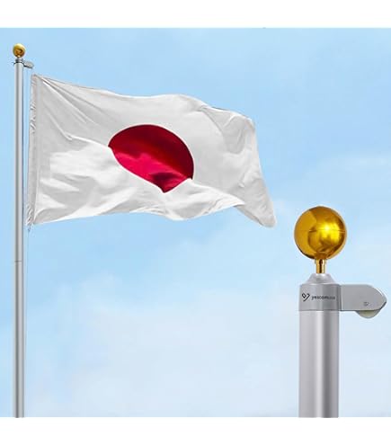 Amazon.co.jp: Yescom 旗ポール 6m アルミ 国旗掲揚ポール 滑車 ロープ