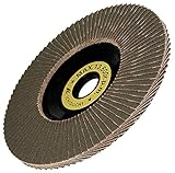 イチグチ AC テクノディスクC 100X15#100 TD10015-C-100