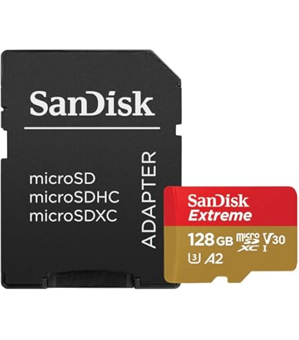 サンディスク Extreme microSDXC 64GB A2 160MB/s