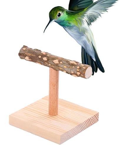 【kana】ローパーチ、止まり木セット 止まり木&ローパーチセット Amazon | 三晃商会 SANKO 小鳥のT型