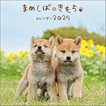 61Yk6zWsPnL._AC_UL210_SR210,