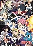 Fairy Tail 60638 壁掛けスクロールポスター マルチカラー