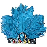 Amazon.co.jp: [QLPLYZON] 1着 サンバ 衣装 羽 コスプレ ダンス