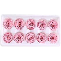 Amazon｜プリザーブドフラワー ハーバリウム 花材材料素材キット