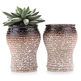 T4U 7CM 雪粒パターン コーラーカップ型 多肉植物、サボテン鉢 フラワーポット プランター容器 ブラウン 2個入り