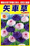 アタリヤ農園 ガーデニング用品 種 矢車草 平山寒咲き