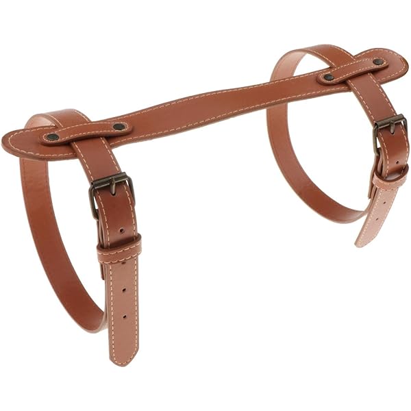 Amazon.co.jp: [shamjina] 全2サイズ キャリー ベルト キャリー