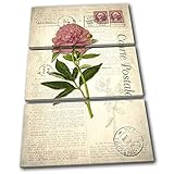 太字ブロックデザイン – ピンクフラワーVintage Shabby Chic Floral TREBLEキャンバスアートプリントボックスフレーム壁吊り下げ – Hand Made In The UK