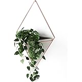 umbra 壁面収納 TRIGG WALL VESSEL(トリッグ ウォールオーガナイザー) L コパー/コンクリート