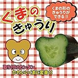 家庭菜園用 くまのきゅうり 1本入