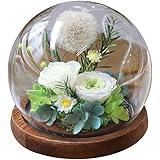 YKFNプリザーブドフラワー たんぽぽ タンポポ 薔薇 ガラスドーム プレゼント 花 ボックス バラ 永遠の花 フラワーギフト ドライフラワー プリザードフラワー 枯れない花 アレンジ ラッピング済み メッセージカード 彼女 妻 彼氏 友達 記念品 