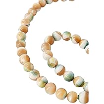 夜光貝　ヤコウ貝　まとめ売り　24個　19、6kg アクセサリー　ルア 夜光貝 ヤコウ貝 まとめ売り 24個 19kg アクセサリー ルアー 夜光貝