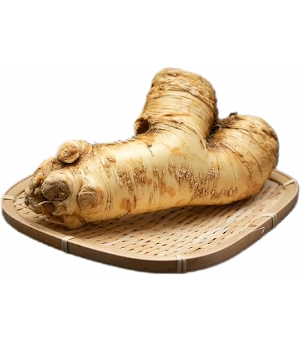 旨辛！北海道山わさび 10kg 野菜 旨辛！北海道山ワサビ太物 10kg T84356367