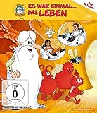 Es war einmal... Das Leben: Alle 26 Folgen