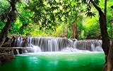 しんりんとたきのPHOTOシリーズが登場しました。Summer Vocation 1 ふすま紙か壁紙か水田写真 A タィブ