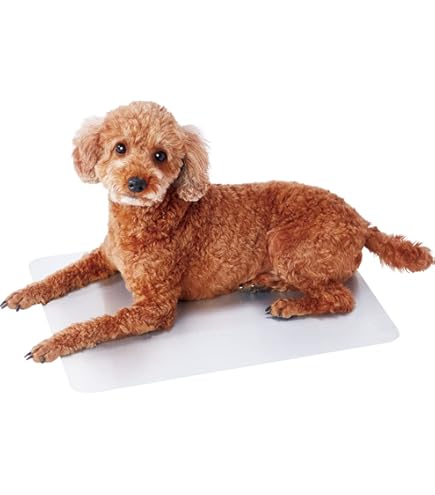 Amazon | マルカン ひんやりクールアルミプレート 2L | マルカン