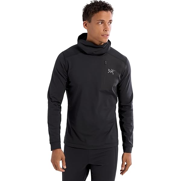 Amazon.co.jp: [アークテリクス] コーマック タンク メンズ