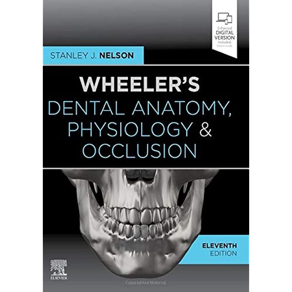 Dental Anatomy and Morphology英語版 Amazon | Dental Anatomy and Morphology | Riquieri, Hilton, Ph.D