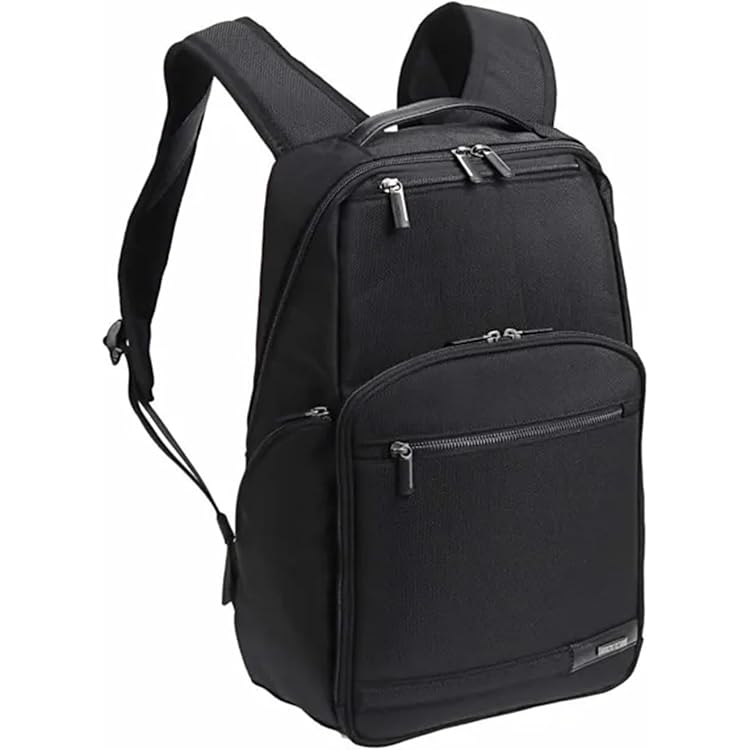 Amazon | [エースジーン] ビジネスリュック EVL3.0 42cm A4 1気室 PC