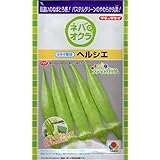 【種子】オクラ ヘルシエ タキイ種苗のタネ
