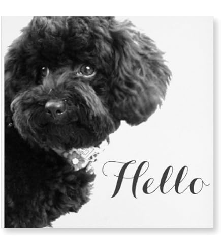 Amazon.co.jp: クリスタルアート おしゃれ 35x45cm アート プードル