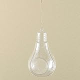 ロープ付き　ハンギングガラス　電球型　Mサイズ