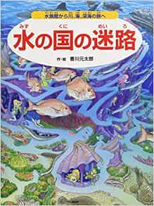 水の国の迷路 水族館から川 海 深海の旅へ 香川 元太郎 武田 正倫 香川 元太郎 本 通販 Amazon