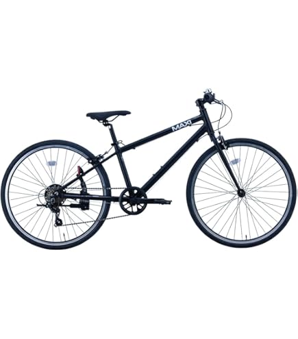 Amazon | サカイサイクル(SAKAI CYCLE) MAXI CROSS 自転車 子供用