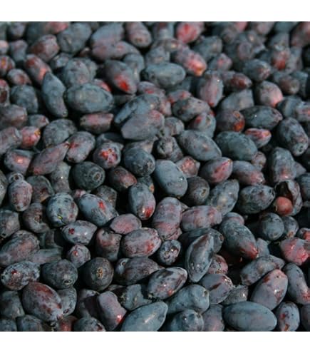 Amazon | 北海道産 ハスカップ(冷凍果実)2kg （250g×8袋）【出荷元